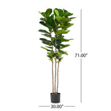 Christopher Knight Home® - Noble House - Socorro 6' X 2' Artificial Fiddle-Leaf Fig Tree, Green