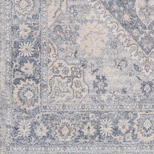 Surya Sivas 2' X 3' Handmade Rug - Timeless Elegance With Durable Design, Perfect For Any Decor Space Light Gray Viscose,Polyester,Cotton Svs2302-23