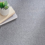 Nourison Essentials NRE01 Machine Made Power-loomed No Border Indoor/Outdoor Outdoor Modern Rug Silver Grey, Silver Grey 100% Polypropylene 99446824998