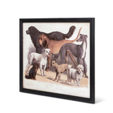 Domestic Dogs Framed Print EWA90364 Park Hill