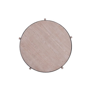Atlas Donovan Coffee Table - Modern Light Ash Centerpiece with Unique Six-Leg Design and Iron Accents TA11067-01