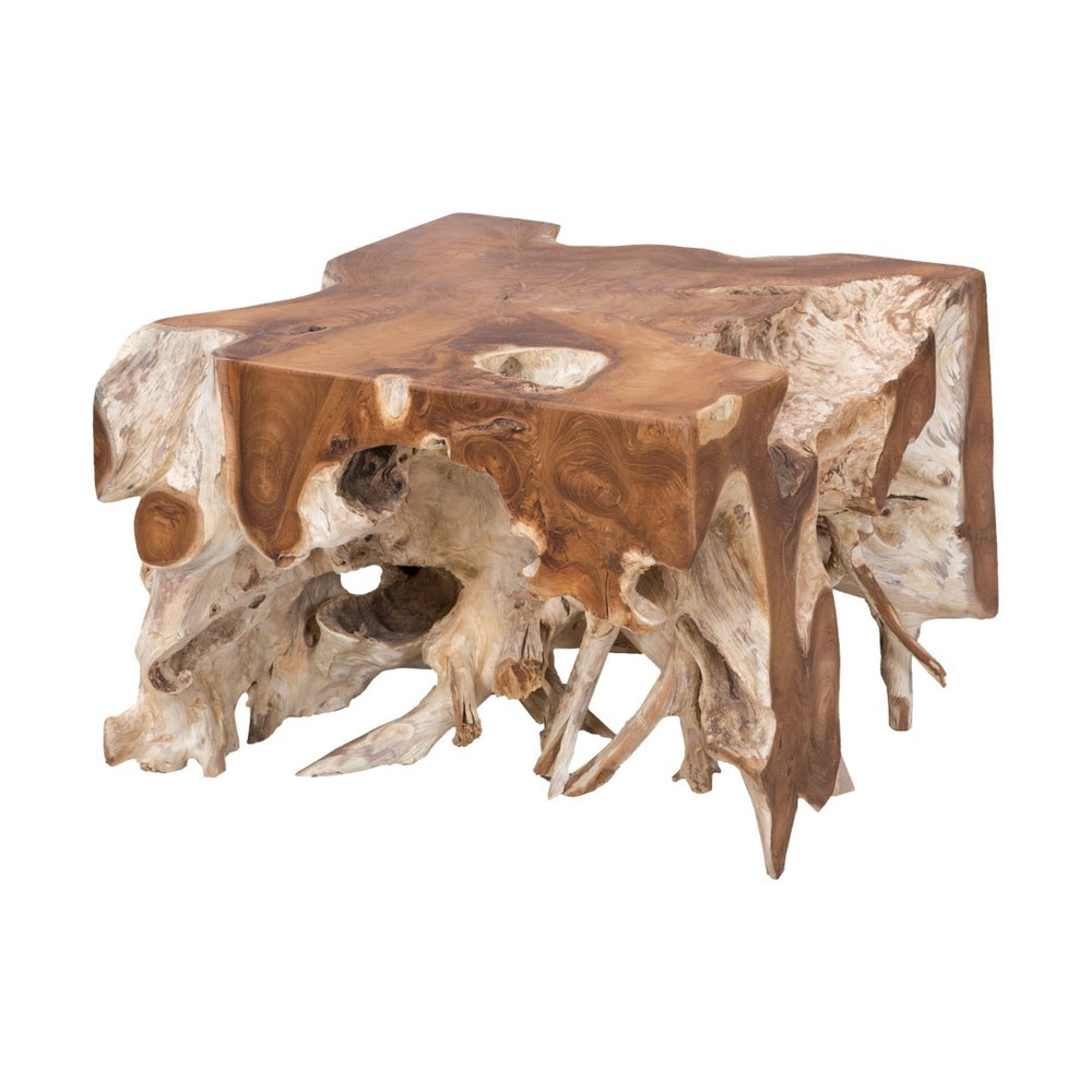 Atlas Root Handcrafted Teak Coffee Table – Organic Elegance with Unique Sculptural Design for Any Space TA11163-01