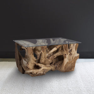 Atlas Teak Root Coffee Table - Rustic Elegance with Clear Glass Top for Unique Home Decor and Style TA11193-01