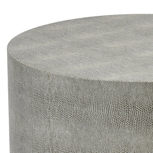Atlas Dexter Accent Table - Sleek Gray Faux Shagreen Design, Modern Minimalist Style for Any Space TA11216-01