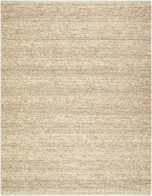 Livabliss Tahoe Handwoven Wool Flatweave Area Rug Bohemian Global Style for Large Living Spaces Light Beige, Br 10' x 14' TAHII3700-1014