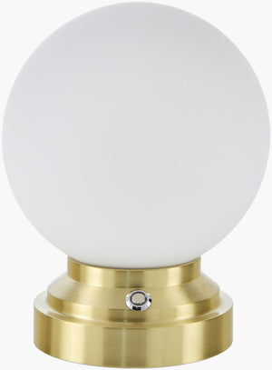 Livabliss Tamsin Iron Body Glass Shade Industrial Accent Lamp for Desk or Nightstand TAM-001