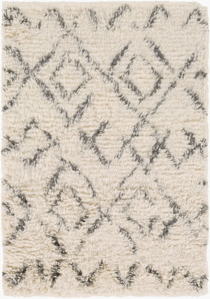 Surya Tasman 2' X 3' Handmade Nz Wool Rug - Elegant Global Design & Plush Pile For Timeless Home Charm Beige Nz Wool Tas4500-23