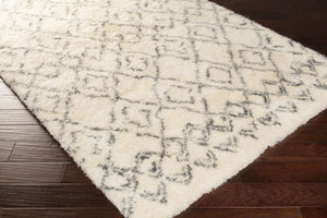 Surya Tasman 2' X 3' Handmade Nz Wool Rug - Elegant Global Design & Plush Pile For Timeless Home Charm Beige Nz Wool Tas4500-23