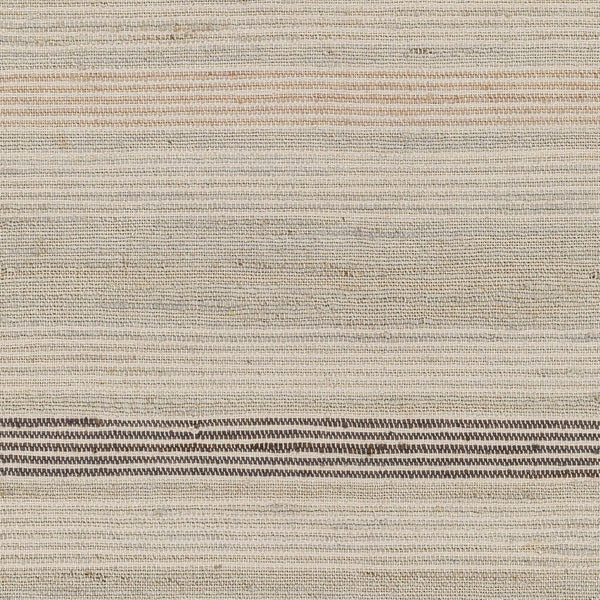 Surya Trabzon Handwoven Cotton Jute Flatweave Area Rug Fringe Artisan Cottage Accent 2' x 3' Rectangle TBO2300-23