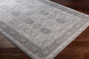Livabliss Tibetan Collection Traditional Pattern Runner Rug for Hallways and Entryways Medium Gray, Ch 8'10" x 12'4" TBT2311-93123
