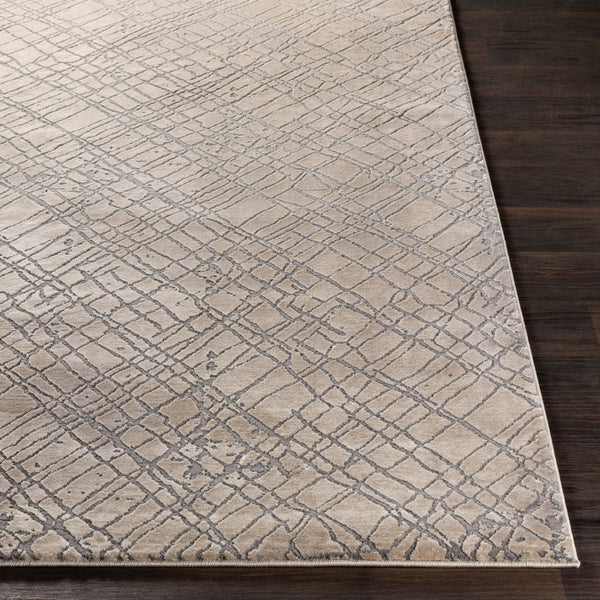 Livabliss Tibetan Machine Woven Hallway Runner Rug with High Low Pile Polypropylene Blend Beige, Medium G 8'10" x 12'4" TBT2314-93123