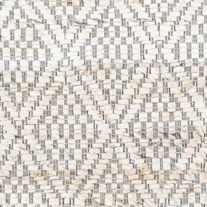 Livabliss Trace Handwoven Jute Area Rug Natural Fiber Artisan Accent for Entryway or Small Spaces Cream, Medium G 8'10" x 12' TCE2301-81012
