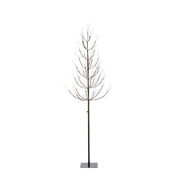 Forest Adjustable Height LED Lighted Tree, 5-6' XLQ40535 Park Hill