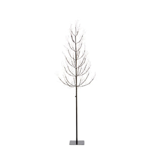 Forest Adjustable Height LED Lighted Tree, 5-6' XLQ40535 Park Hill