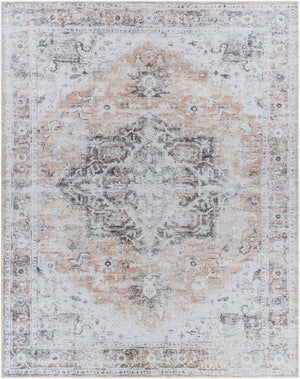 Livabliss Tahmis Traditional Chenille Polyester Accent Rug Soft Entryway Bedside Machine Woven Beige, Charcoal 7'10" x 10'2" THI2702-710102