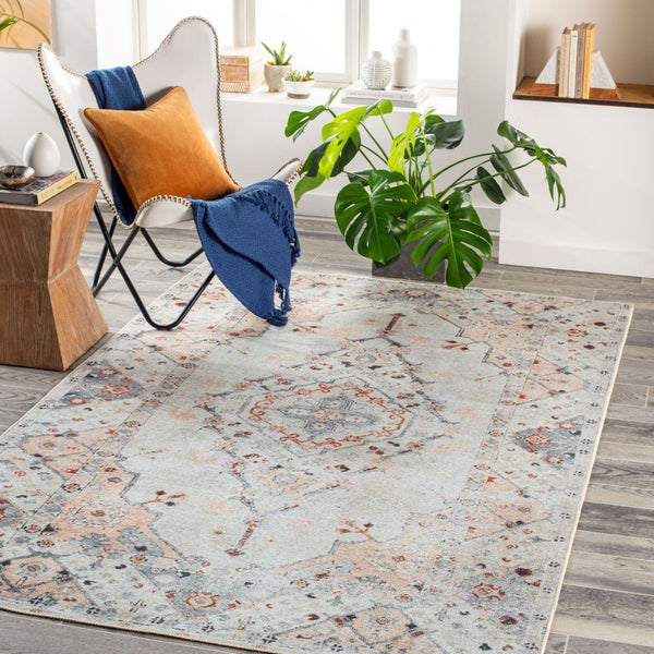 Livabliss Tahmis Traditional Flatweave Chenille Area Rug Turkish Woven for High Traffic Rooms Light Gray, Gra 6'7" x 9' THI2706-679