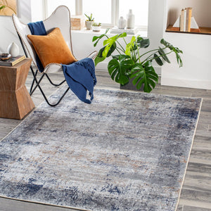 Livabliss Tahmis Flatweave Chenille Area Rug Traditional Pattern for Entryways and Hallways Dark Blue, Medi 8'10" x 12' THI2708-81012