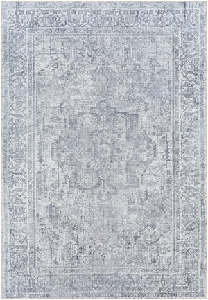 Tahmis THI-2710 6'7" x 9' Machine Woven Rug THI2710-679 Livabliss Surya