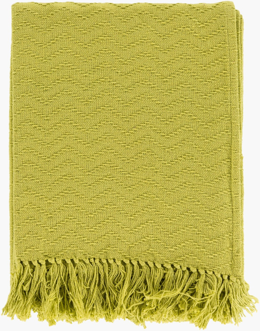 Livabliss Thelma Cotton Woven Throw Blanket with Fringe Edge for Sofa Chair or Bed THM6001-5060