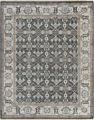 Surya Theodora 10' X 14' Handmade Viscose Rug - Soft, Durable, Stylish Fringe Design For Any Space Black Viscose Tho3000-810