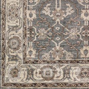 Surya Theodora 10' X 14' Handmade Viscose Rug - Soft, Durable, Stylish Fringe Design For Any Space Medium Gray Viscose Tho3001-312