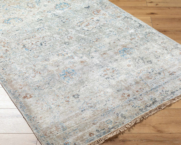 Surya Theodora 10' X 14' Handmade Viscose Rug - Soft, Durable, Stylish Fringe Design For Any Space Denim Viscose Tho3008-46