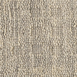 Nourison Perris PERR1 Handmade Woven No Border Indoor Only Contemporary  Rug Latte, Beige 100% Wool 99446224583