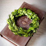 Mini Preserved Boxwood Wreaths - Set of 6