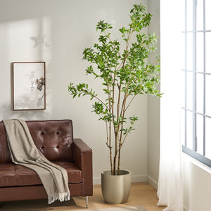 English Elm 240cmartificial Pieris Tree Lifelike Cascading Foliage Tall Indoor Botanical Accent 74348.00