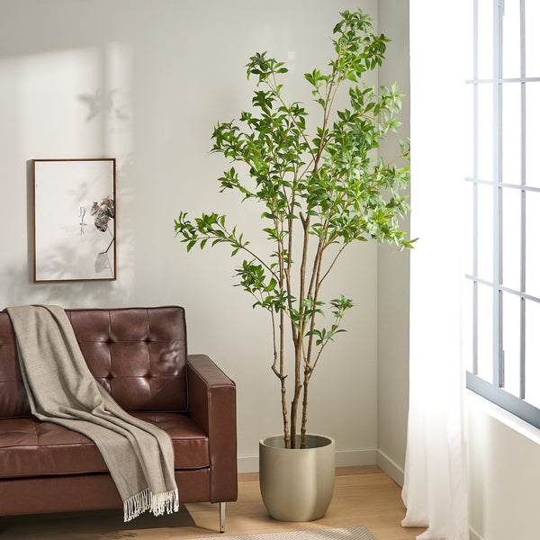 English Elm 240cmartificial Pieris Tree Lifelike Cascading Foliage Tall Indoor Botanical Accent 74348.00