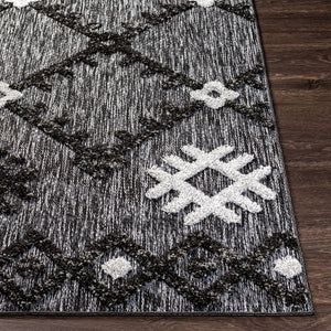 Livabliss Toledo Collection High Pile Polypropylene Rug Bohemian Geometric Living Room Accent TLD2304-537
