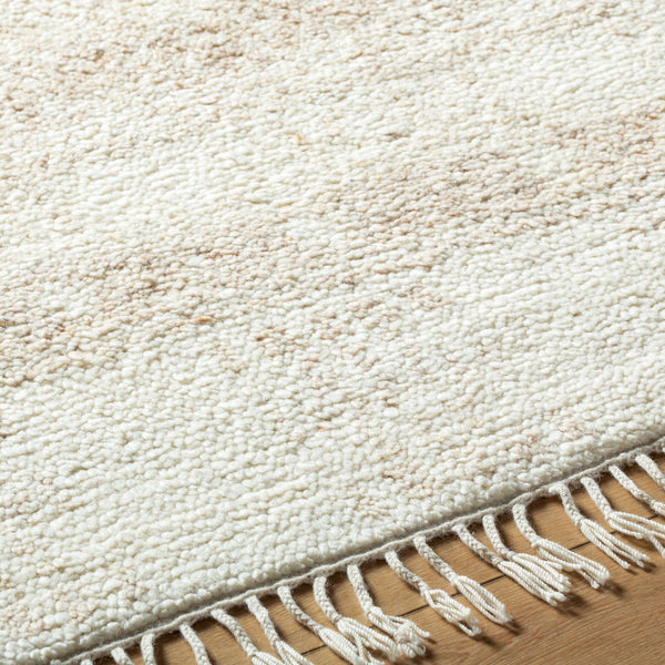 Surya Tulsa 10' X 14' Handmade Global Style Rug - Luxurious Wool, Durable, Soft Underfoot, Unique Charm Cream Wool Tls2301-23