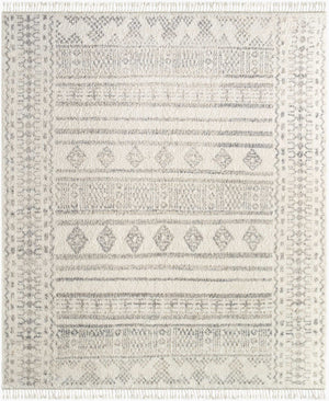 Surya Tulsa 10' X 14' Handmade Global Style Rug - Luxurious Wool, Durable, Soft Underfoot, Unique Charm Ivory Wool Tls2303-1014