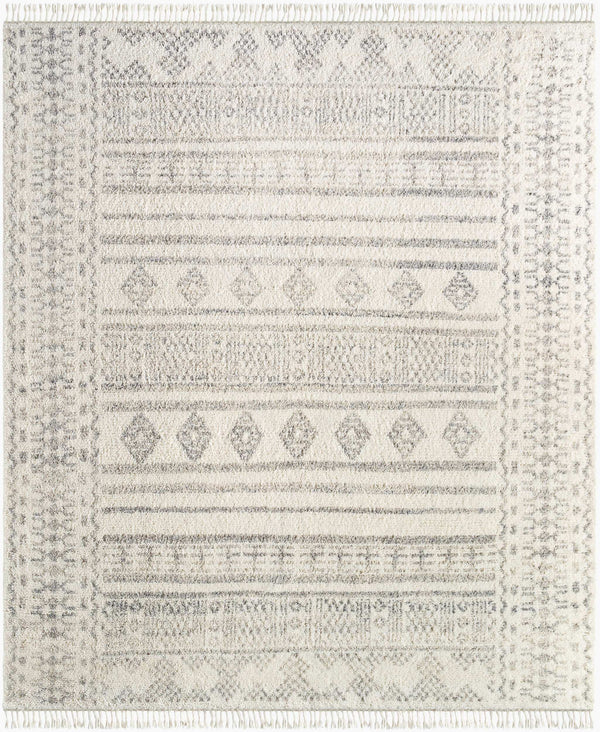 Surya Tulsa 10' X 14' Handmade Global Style Rug - Luxurious Wool, Durable, Soft Underfoot, Unique Charm Ivory Wool Tls2303-1014