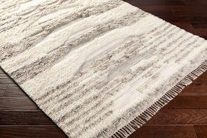 Livabliss Tulum Handwoven New Zealand Wool Accent Rug with Fringe Bohemian Farmhouse Artisan Taupe, Cream 2' x 3' TMU2300-23