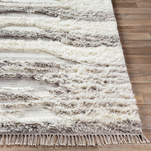 Livabliss Tulum Handwoven New Zealand Wool Accent Rug with Fringe Bohemian Farmhouse Artisan Taupe, Cream 2' x 3' TMU2300-23