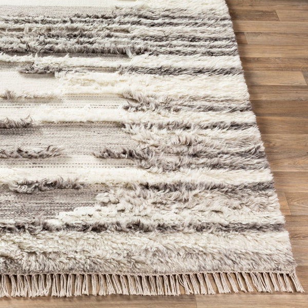 Livabliss Tulum Handwoven New Zealand Wool Area Rug with High-low Pile and Fringe Detail Cream, Dark Bro 3'6" x 5'6" TMU2301-3656