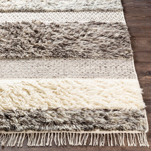 Livabliss Tulum Hand-woven New Zealand Wool Rug with Fringe Bohemian Cottage Farmhouse Accent Beige, Gray 2' x 3' TMU2302-23