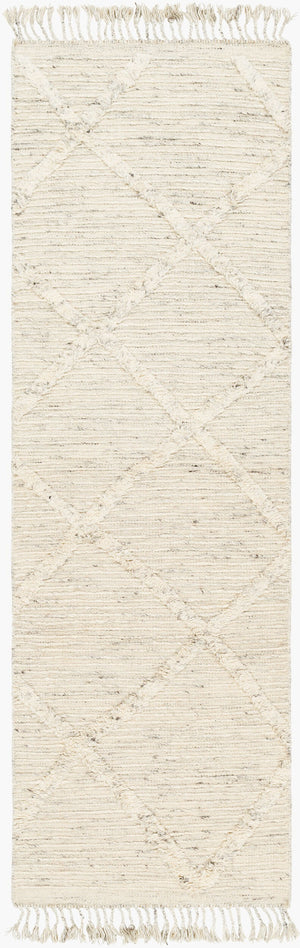Surya Tenerife 2' X 3' Handmade Moroccan-inspired Rug - Exquisite Wool, Plush Comfort, And Unique Fringe Detail Beige Wool Tnf2300-268