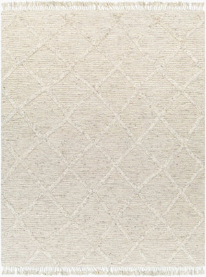 Surya Tenerife 2' X 3' Handmade Moroccan-inspired Rug - Exquisite Wool, Plush Comfort, And Unique Fringe Detail Beige Wool Tnf2300-576