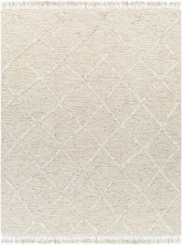 Surya Tenerife 2' X 3' Handmade Moroccan-inspired Rug - Exquisite Wool, Plush Comfort, And Unique Fringe Detail Beige Wool Tnf2300-576