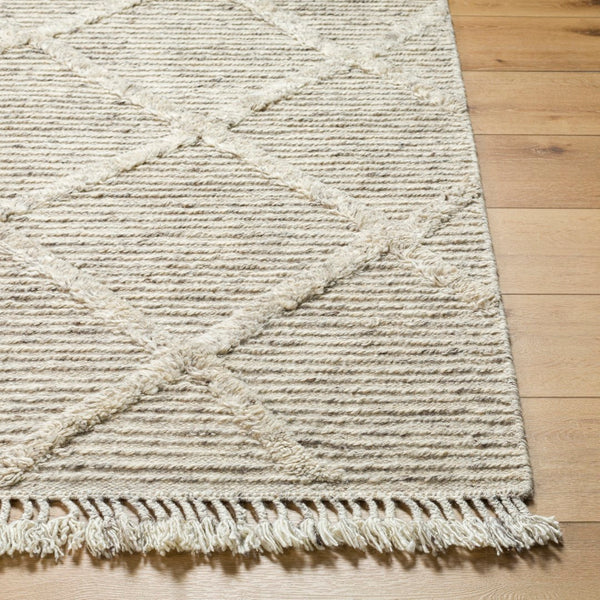 Surya Tenerife Handmade Rug TNF-2300
