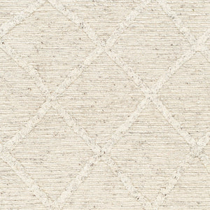 Surya Tenerife Handmade Rug TNF-2300