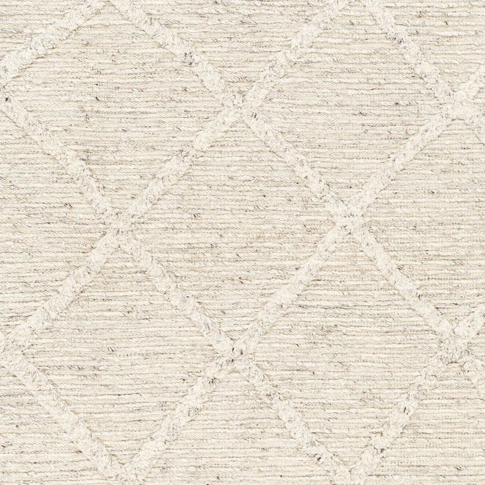 Surya Tenerife 2' X 3' Handmade Moroccan-inspired Rug - Exquisite Wool, Plush Comfort, And Unique Fringe Detail Beige Wool Tnf2300-576