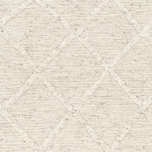 Surya Tenerife 2' X 3' Handmade Moroccan-inspired Rug - Exquisite Wool, Plush Comfort, And Unique Fringe Detail Beige Wool Tnf2300-576