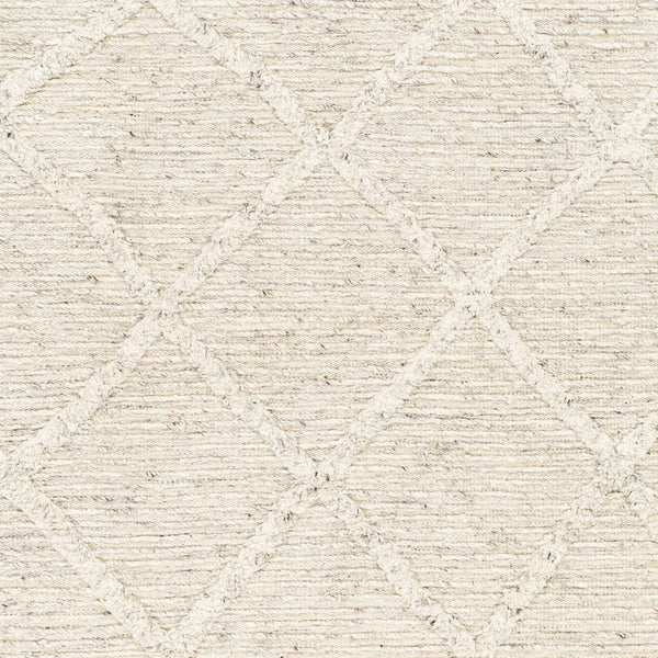 Surya Tenerife 2' X 3' Handmade Moroccan-inspired Rug - Exquisite Wool, Plush Comfort, And Unique Fringe Detail Beige Wool Tnf2300-576