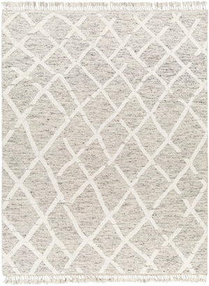 Surya Tenerife Handmade Rug TNF-2301