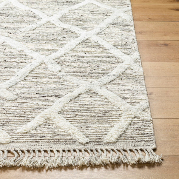 Surya Tenerife Handmade Rug TNF-2301