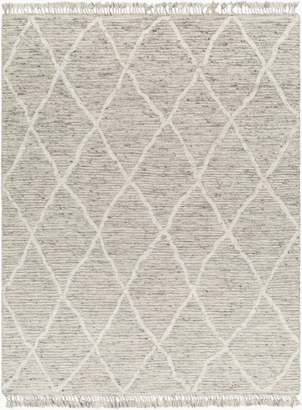Surya Tenerife 2' X 3' Handmade Moroccan-inspired Rug - Exquisite Wool, Plush Comfort, And Unique Fringe Detail Light Gray Wool Tnf2302-23