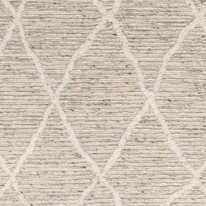 Surya Tenerife 2' X 3' Handmade Moroccan-inspired Rug - Exquisite Wool, Plush Comfort, And Unique Fringe Detail Light Gray Wool Tnf2302-23